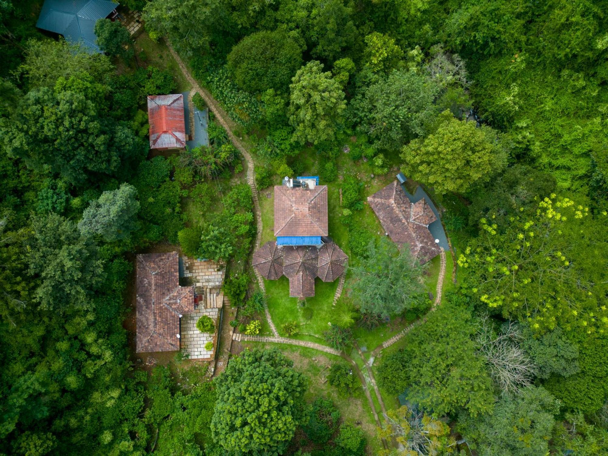 Mahout Resort Wayanad - An Experiential Jungle Stay With Waterfall Калпетта Екстер'єр фото
