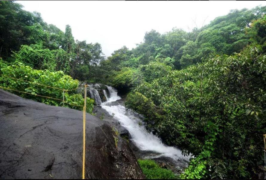 Mahout Resort Wayanad - An Experiential Jungle Stay With Waterfall Калпетта Екстер'єр фото