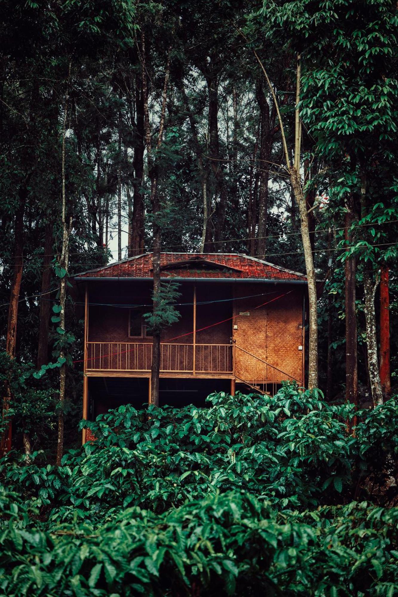 Mahout Resort Wayanad - An Experiential Jungle Stay With Waterfall Калпетта Екстер'єр фото
