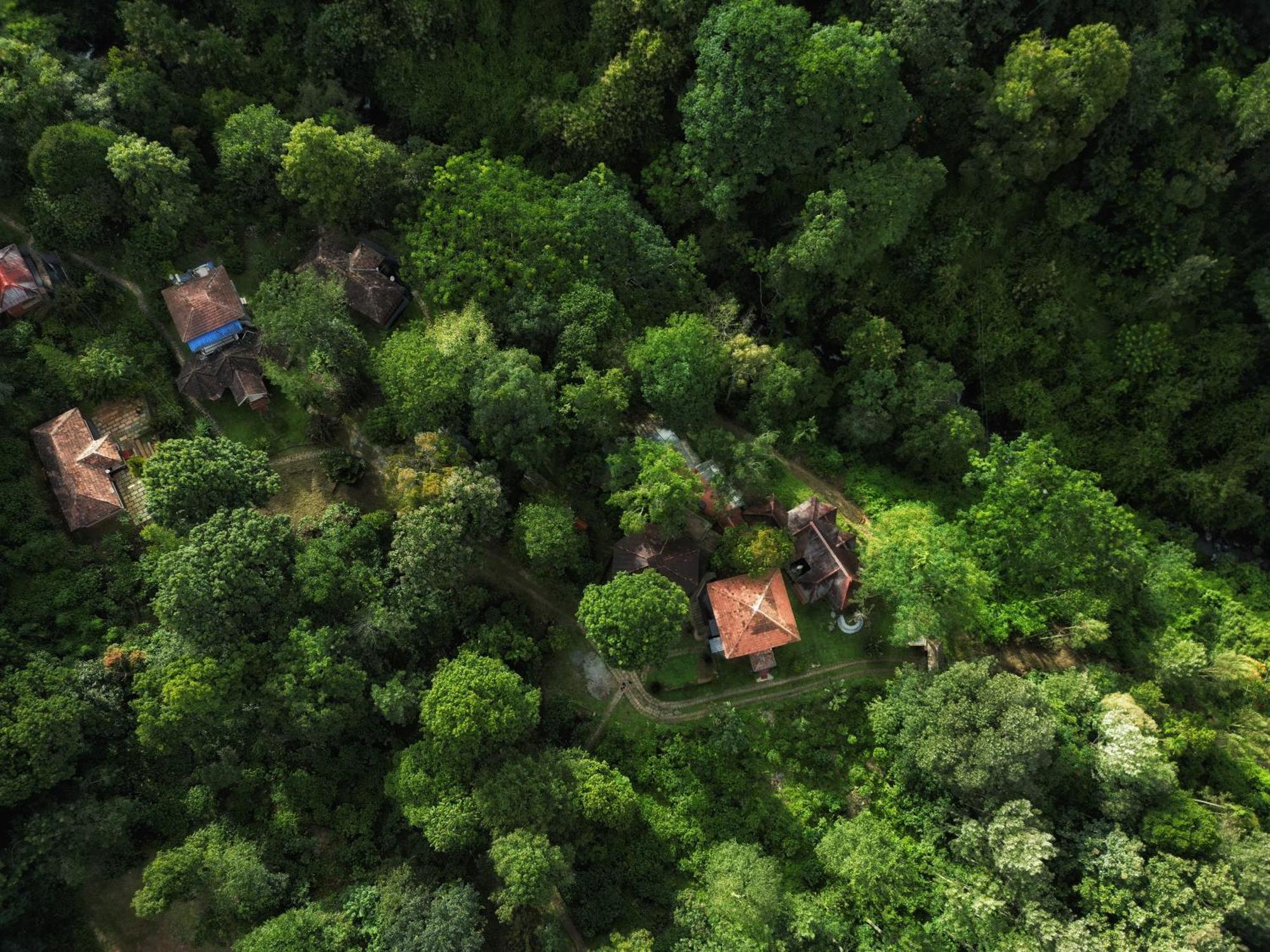 Mahout Resort Wayanad - An Experiential Jungle Stay With Waterfall Калпетта Екстер'єр фото