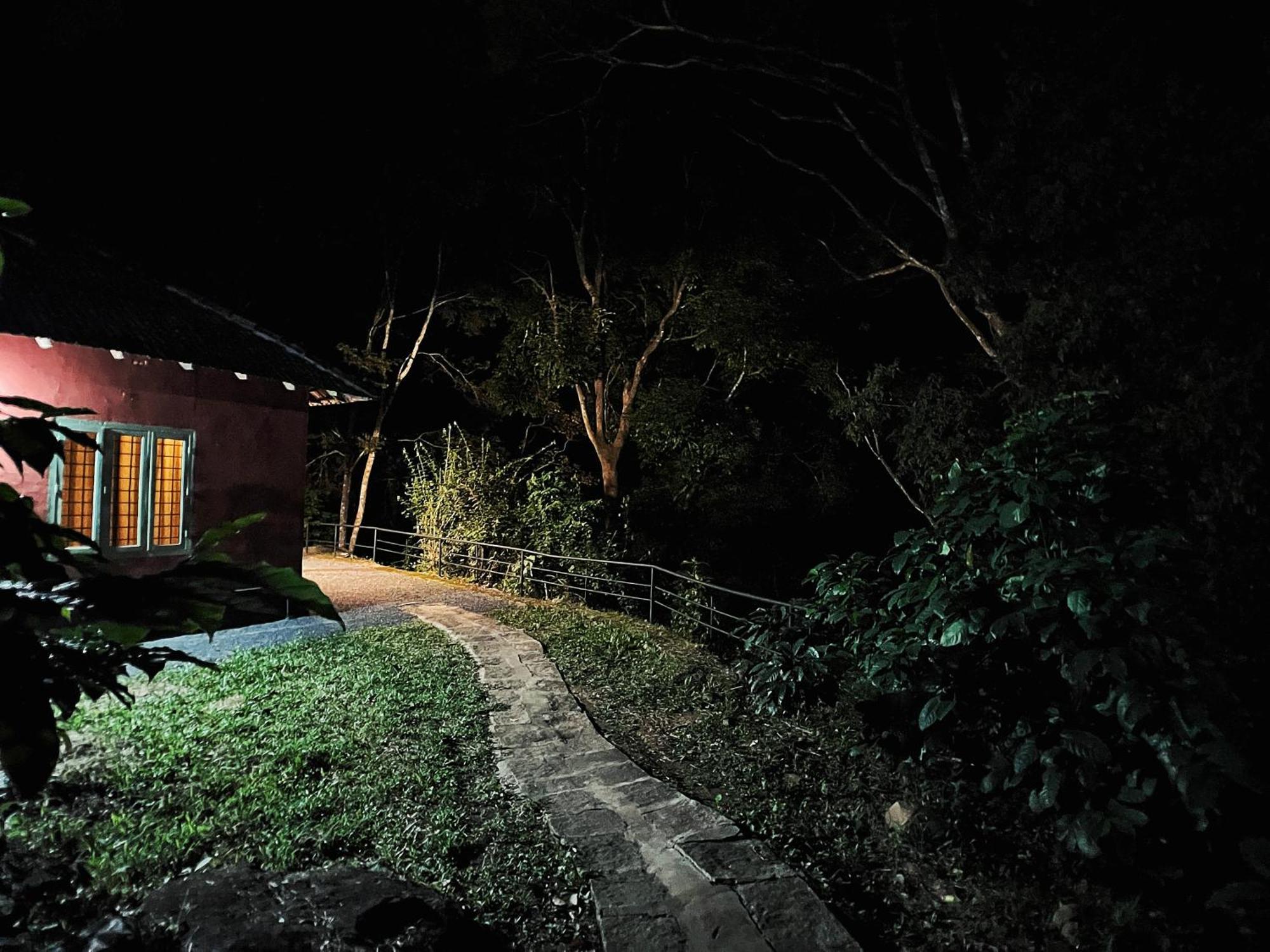 Mahout Resort Wayanad - An Experiential Jungle Stay With Waterfall Калпетта Екстер'єр фото