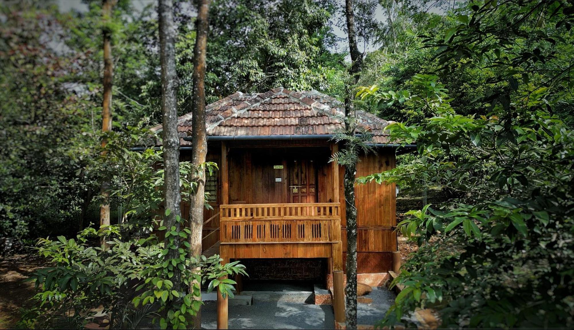 Mahout Resort Wayanad - An Experiential Jungle Stay With Waterfall Калпетта Екстер'єр фото